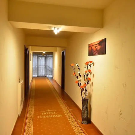 Euphoria Hotell 3*